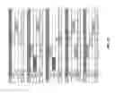 Fig. 35 - System and methods for generating quality, verified, synthesized, and coded information