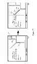 Fig. 27 - Harvesting Addresses