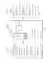 Fig. 05 - Observation of data in persistent memory