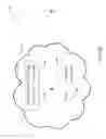 Fig. 07 - Scalable groups of authenticated entities