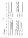 Fig. 04 - INTEGRATED CIRCUIT COMPRISING TEST CIRCUITRY FOR TESTING FAN-OUT PATHS OF A TEST CONTROL PRIMARY INPUT