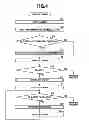 Fig. 04 - ELECTRONIC APPARATUS, GRAPH DISPLAY METHOD AND COMPUTER READABLE MEDIUM