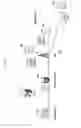 Fig. 07 - Method and apparatus for assigning video bitrate in mobile communication system