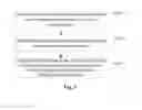 Fig. 02 - METHOD AND DEVICE FOR PROTECTING PRIVACY INFORMATION WITH BROWSER