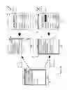 Fig. 12 - Using biometric verification to grant access to redacted content