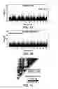 Fig. 02 - Modifying flowering time in maize