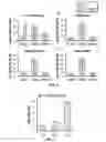 Fig. 09 - Plants with elevated levels of glucan