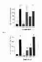 Fig. 02 - Compositions and methods for increased expression in sugar cane
