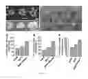 Fig. 02 - Methods of controlling seed size in plants