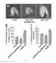 Fig. 07 - Methods of controlling seed size in plants