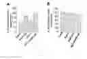 Fig. 09 - Methods of controlling seed size in plants