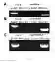 Fig. 13 - Methods of controlling seed size in plants