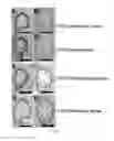 Fig. 16 - Methods of controlling seed size in plants