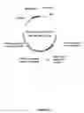 Fig. 76 - PLANTS HAVING ENHANCED YIELD-RELATED TRAITS AND A METHOD FOR MAKING THE SAME
