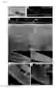 Fig. 06 - PROCESS FOR MODIFYING THE ARCHITECTURE AND IMPROVING THE YIELD OF CROP PLANTS