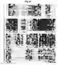 Fig. 22 - PROCESS FOR MODIFYING THE ARCHITECTURE AND IMPROVING THE YIELD OF CROP PLANTS