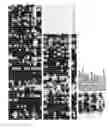 Fig. 40 - PROCESS FOR MODIFYING THE ARCHITECTURE AND IMPROVING THE YIELD OF CROP PLANTS