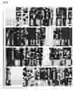 Fig. 41 - PROCESS FOR MODIFYING THE ARCHITECTURE AND IMPROVING THE YIELD OF CROP PLANTS