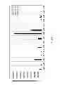 Fig. 06 - Polysaccharide synthases