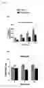 Fig. 09 - Pesticides