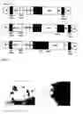 Fig. 12 - Pesticides