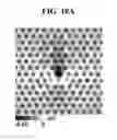 Fig. 41 - Computer-aided simulation method for atomic-resolution scanning seebeck microscope (SSM) images