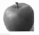 Fig. 01 - Gala schnico red
