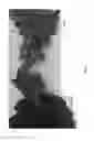 Fig. 06 - Dwarf Grapevine VDG004