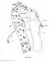 Fig. 04 - Hooded garment