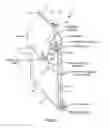 Fig. 02 - Shielded Secure Pocket