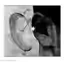 Fig. 01 - EAR GUARD
