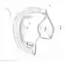 Fig. 04 - Helmet provided with an adjustable device for the helmet comfort liner
