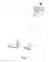 Fig. 02 - Surface cleaning appliance