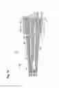 Fig. 10 - Electric toothbrush