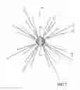 Fig. 07 - LIGHTED VEHICLE WASH COMPONENT