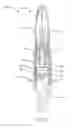 Fig. 10 - Paint Brush with Reinforced Ferrule Construction