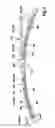 Fig. 05 - WIPER BLADE DEVICE