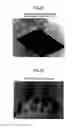 Fig. 22 - DRY CLEANING DEVICE