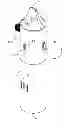 Fig. 01 - Cosmetic and grooming vacuum