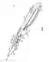 Fig. 05 - Skinning knife with removable blade