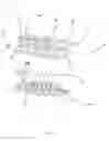 Fig. 02 - Organizational Device