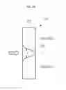 Fig. 23 - Clothes dryer