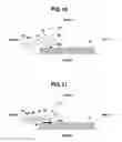 Fig. 08 - Page-turning device and document camera system