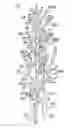 Fig. 01 - Plant support assembly