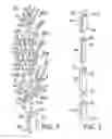 Fig. 02 - Plant support assembly