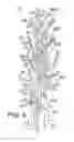 Fig. 04 - Plant support assembly