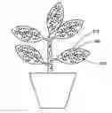 Fig. 01 - APPARATUSES, SYSTEMS AND METHODS FOR ENHANCING PLANT GROWTH