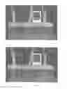 Fig. 06 - VEGETATIVE PROPAGATION OF SOYBEAN PLANTS IN A HYDROPONIC ENVIRONMENT