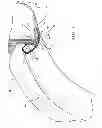 Fig. 04 - Weatherstrip assembly having a removable retaining member
