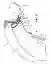 Fig. 09 - Weatherstrip assembly having a removable retaining member